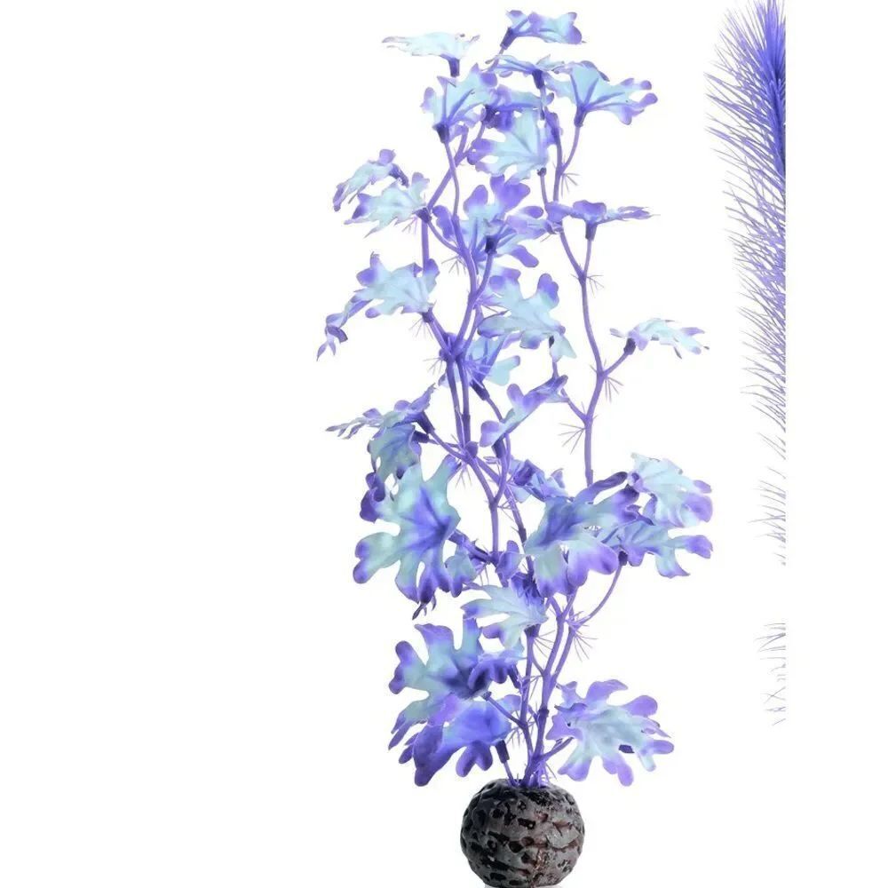 🌸HP🌸BiOrb Kelp in Purple!